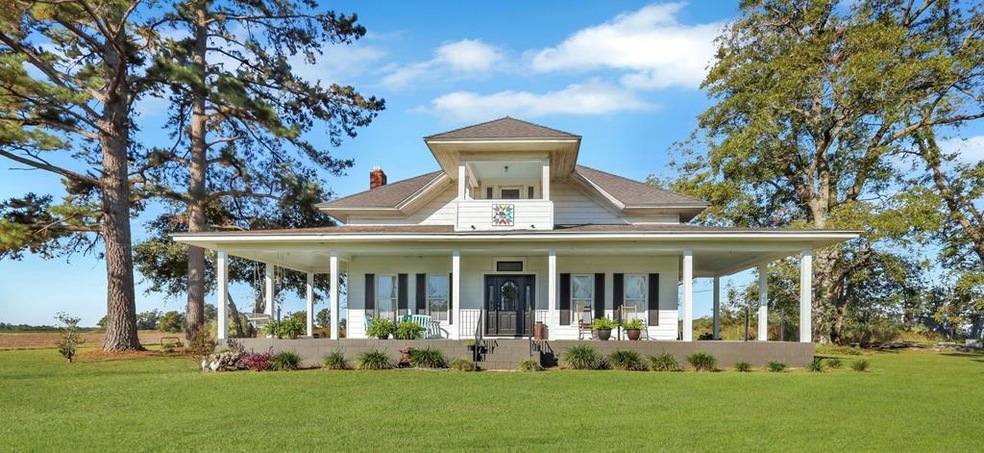 Main View