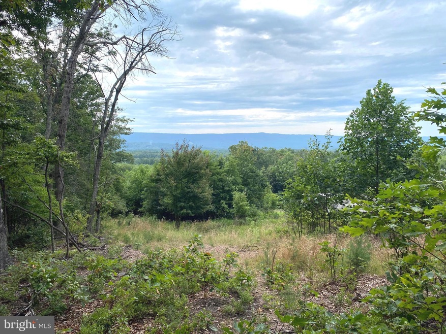 Lot 14 Jermikey Ct, Hedgesville, WV 25427 - photo 1