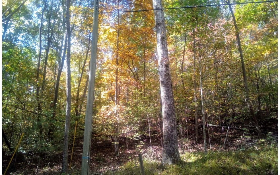 0 Gladstone Ct unit 301673, Ellijay, GA 30540 - photo 1