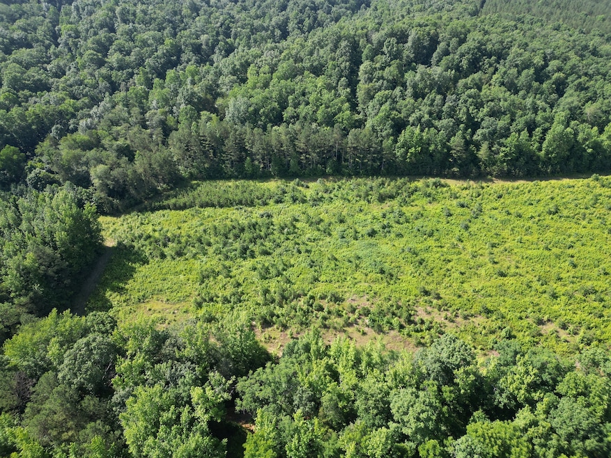 0 Brushy Rd unit RTC2923157, Centerville, TN 37033 - photo 1