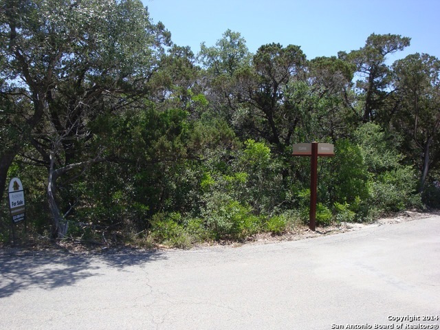 12220 Montel, Helotes, TX 78023 - photo 1