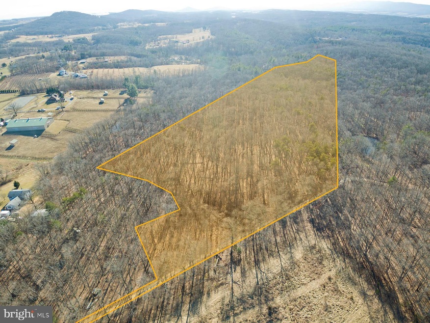 0 Triple Oaks unit VAFV162100, Winchester, VA 22603 - photo 1