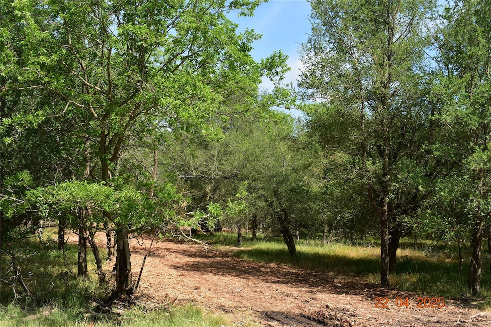 View of nature
