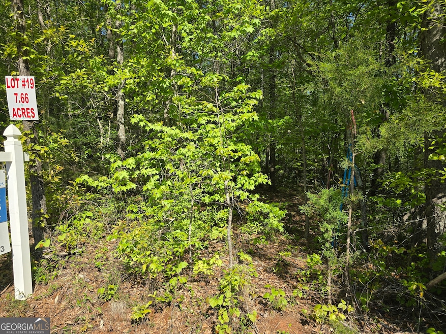 LOT 19 Smith Rd, Thomaston, GA 30286 - photo 1