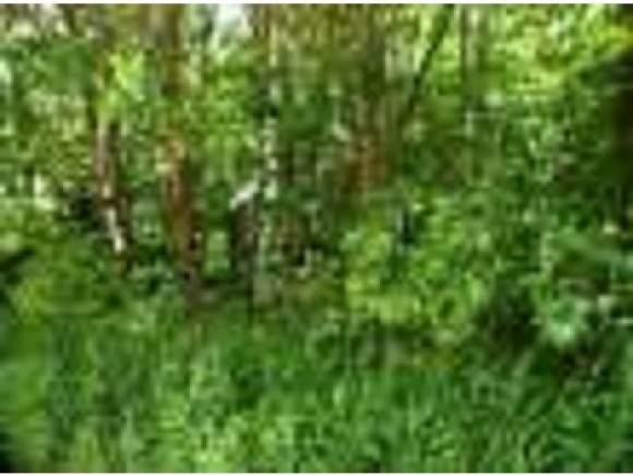 L324 Westchester, Barnstead, NH 03225 - photo 1