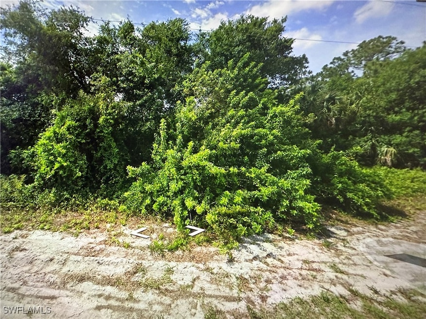 View of local wilderness