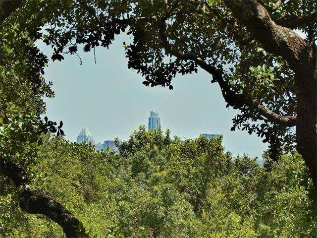 Skyline view framed by heritage oaks