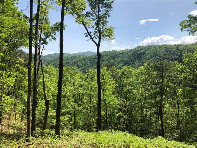 Homesite 29 above the French Broad River