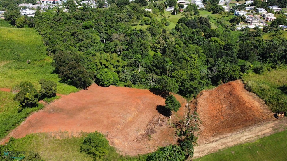 X Calle Los Cipreses Bo Pueblo Moca P R, Moca, PR 00676 - photo 1