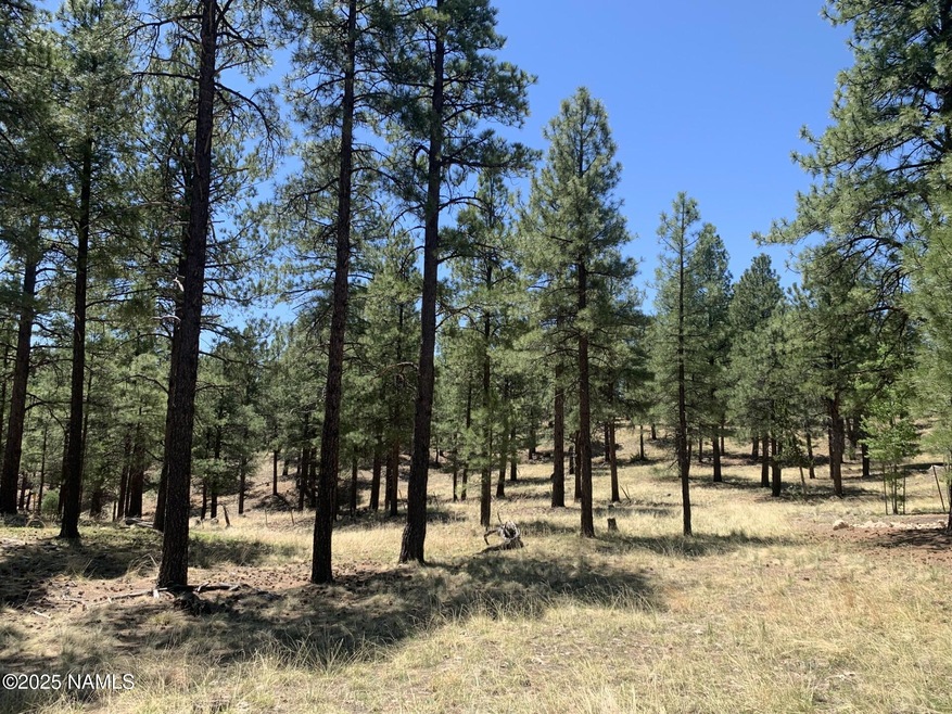 2343 E Del Rae Dr unit 176, Flagstaff, AZ 86001 - photo 1