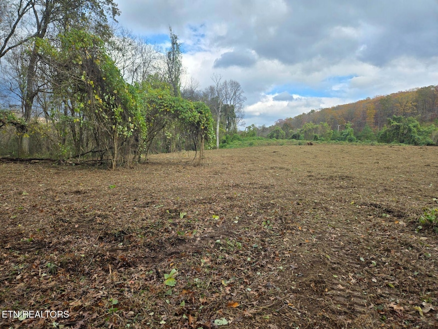 0 Rhea County Hwy 27 unit 1283020, Spring City, TN 37381 - photo 1