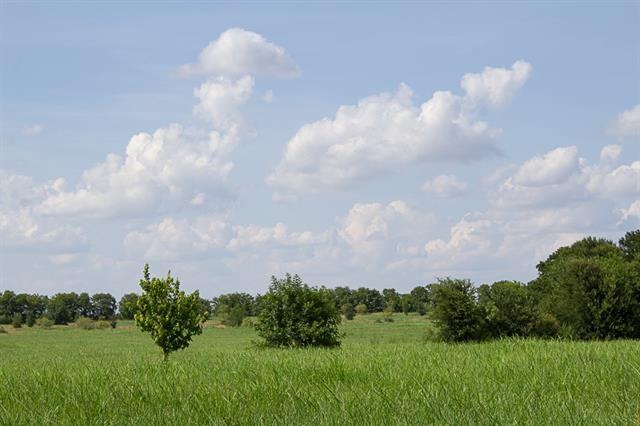 994 Cr 459, Other, TX 76579 - photo 1