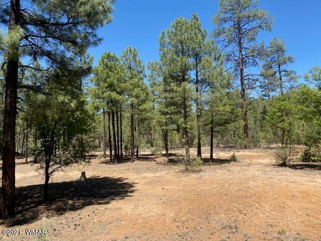 1511 S Elk Run Dr, Show Low, AZ 85901 - photo 1