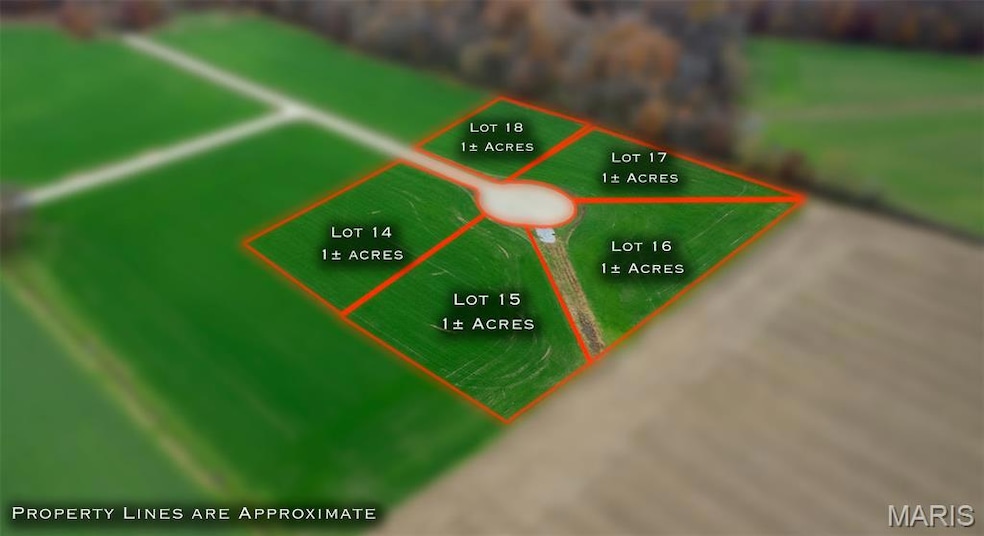 340 Bertha E Dumey Dr, Benton, MO 63736 - photo 1