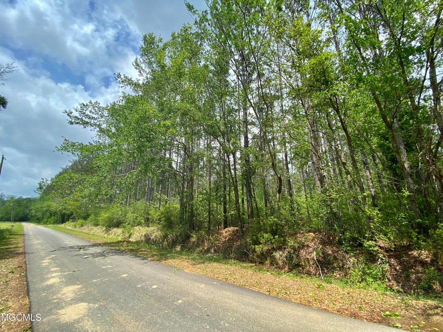 24 Scruggs Rd, Lucedale, MS 39452 - photo 1