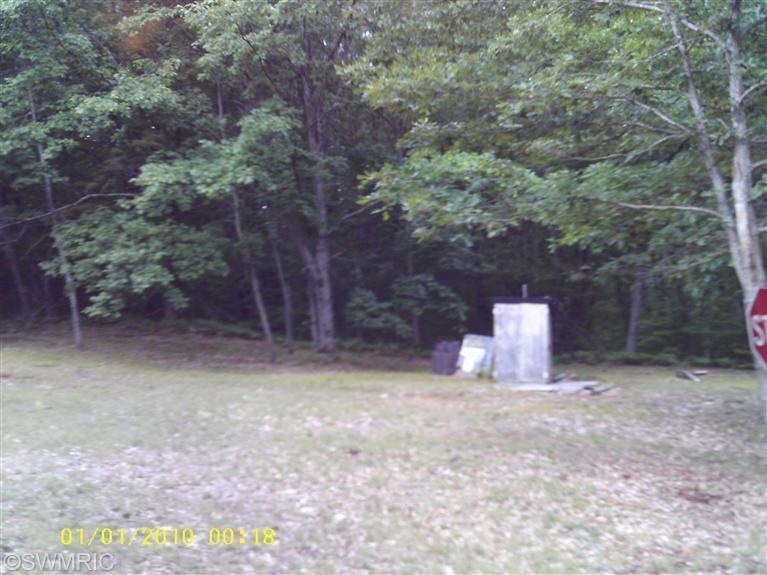Primary Photo
