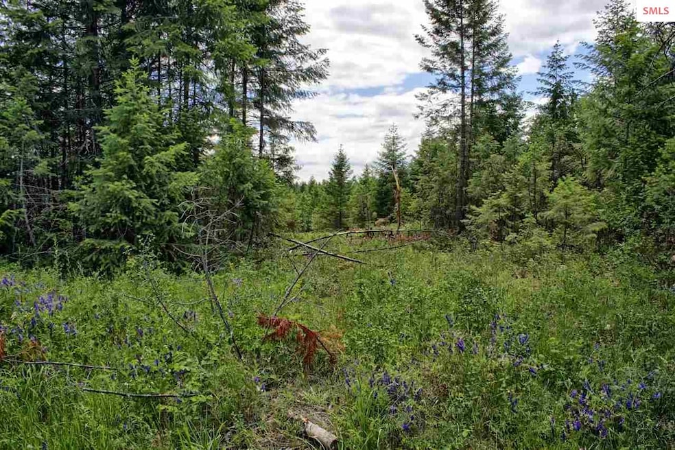 Lot B7 Northern Sky Rd, Athol, ID 83801 - photo 1