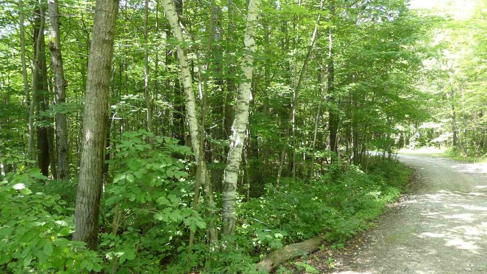 00 Vt Route 9 W, Searsburg, VT 05363 - photo 1