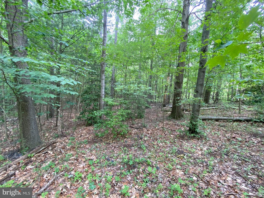 9579 State Route 209, Williamstown, PA 17098 - photo 1