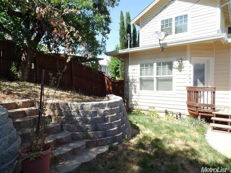 terraced yard with old apple tree