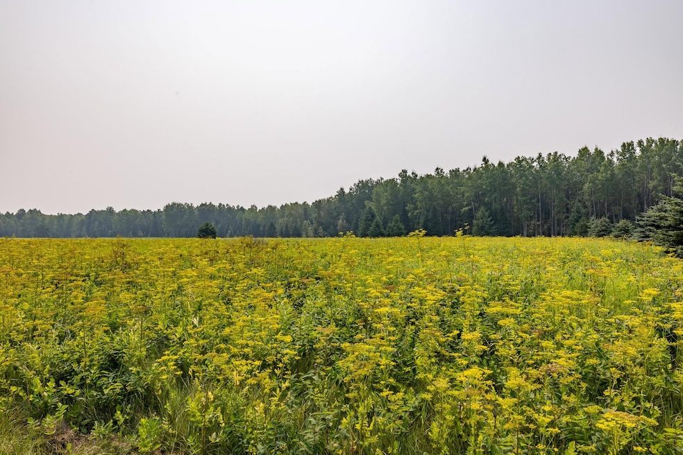 13 Acres Whitetail Ln, Tipler, WI 54542 - photo 1
