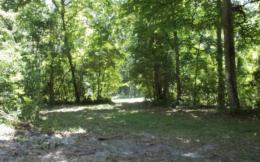 unlisted-address, Fort White, FL 32038 - photo 1