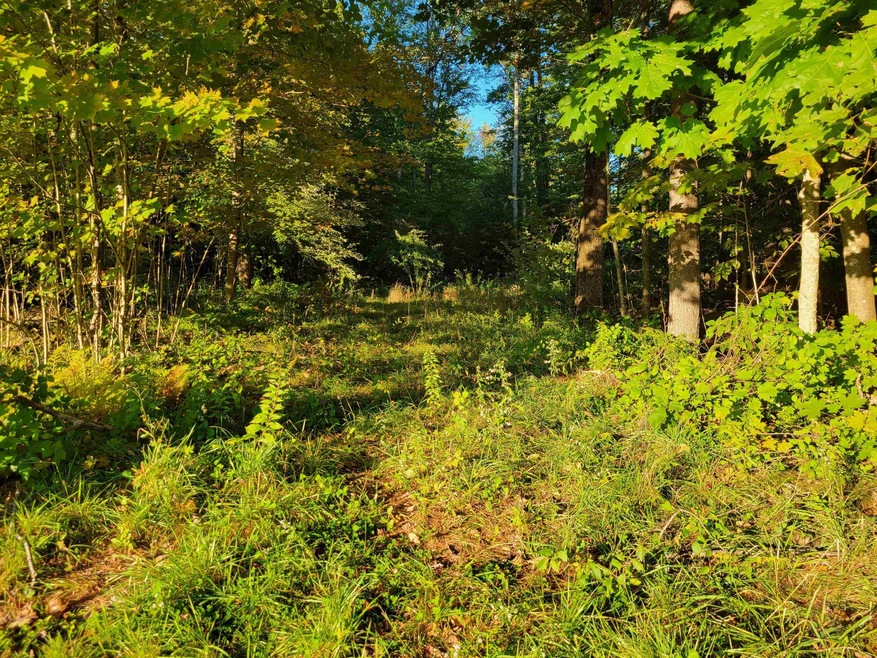 0 Tuftonboro Neck Rd unit 4905188, Tuftonboro, NH 03816 - photo 1