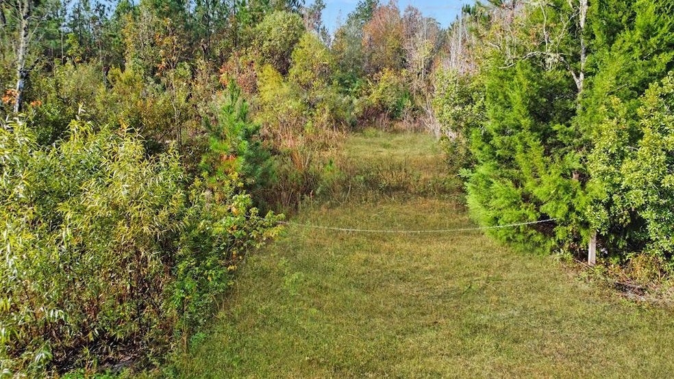 Lot 2 Old Bay City Rd, Wewahitchka, FL 32465 - photo 1