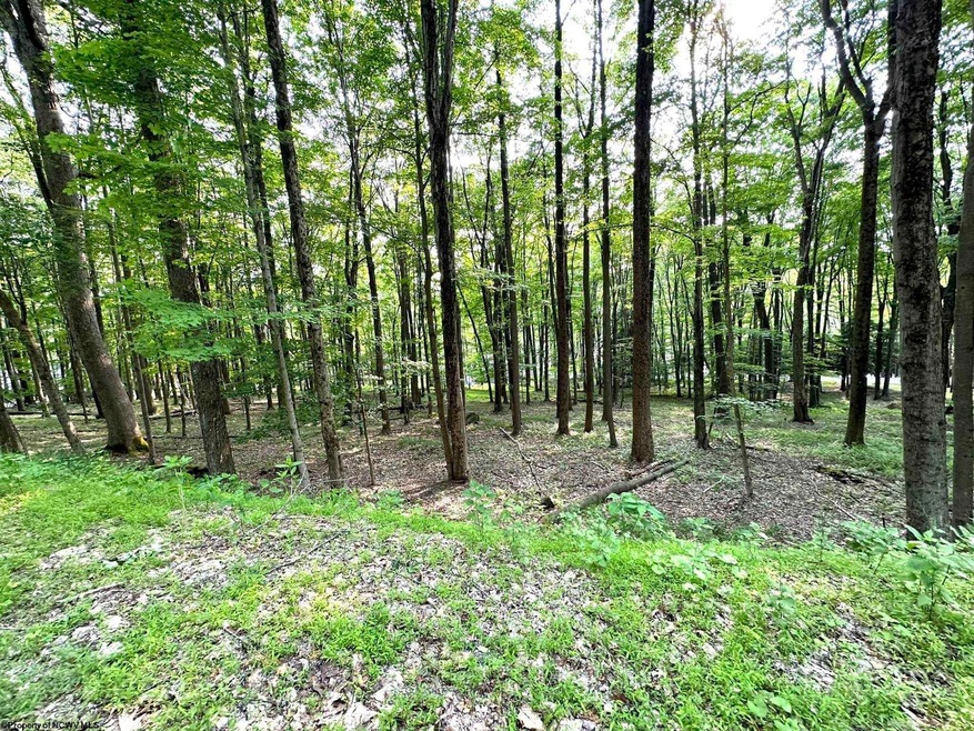 Lot 117 E Alpine Dr, Terra Alta, WV 26764 MLS 10149601