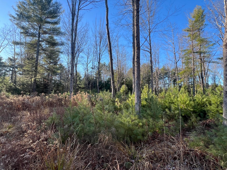 Lot # 7 Cranberry Way, Bowdoinham, ME 04008 - photo 1