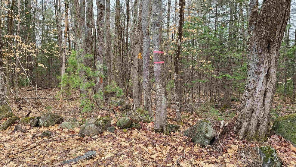 00 Haines Hill Rd unit Tract 1, Avery Lot, Wolfeboro, NH 03894 - photo 1