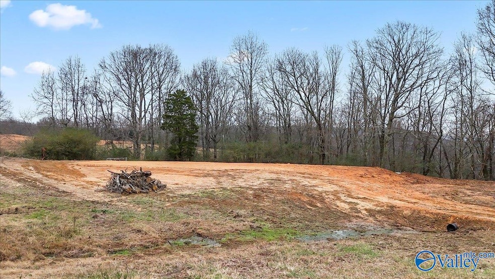10356 County Road 17, Woodville, AL 35776 - photo 1