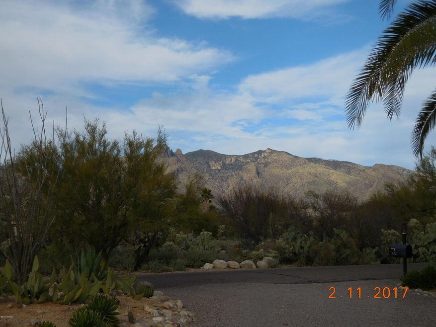 Yes The Catalinas