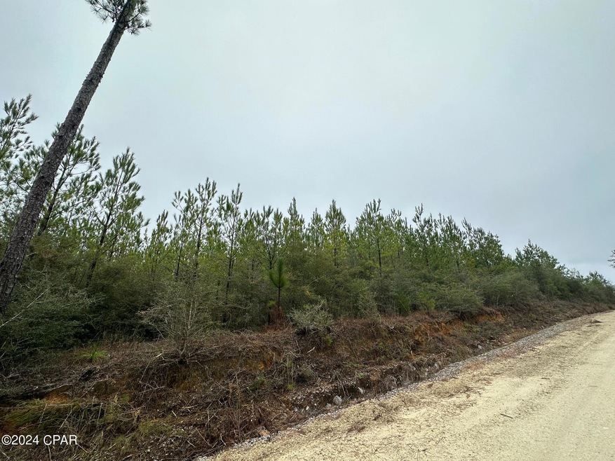 Tract 6418 Mattox Springs Rd unit 1, Caryville, FL 32427 - photo 1