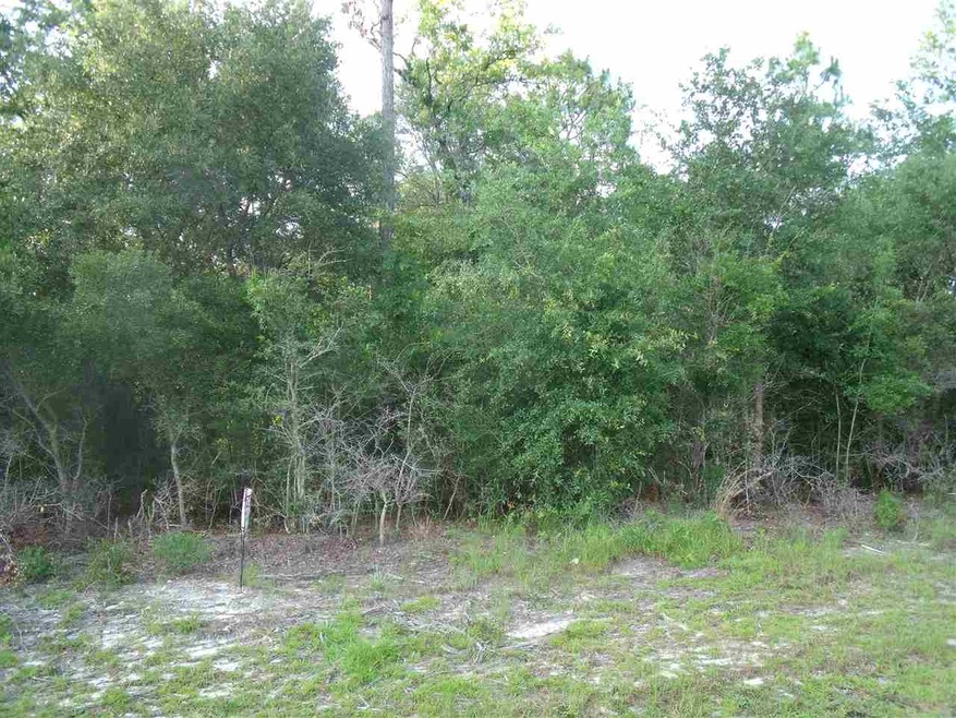 0 Evans Ave unit 283297, Crawfordville, FL 32327 - photo 1