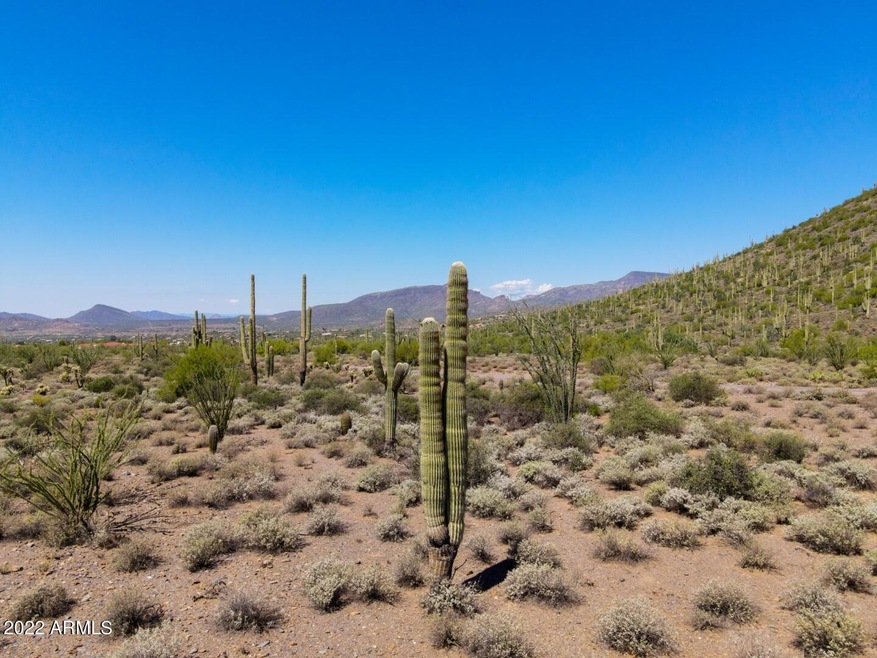 Level Ready for Your Estate or Ranch