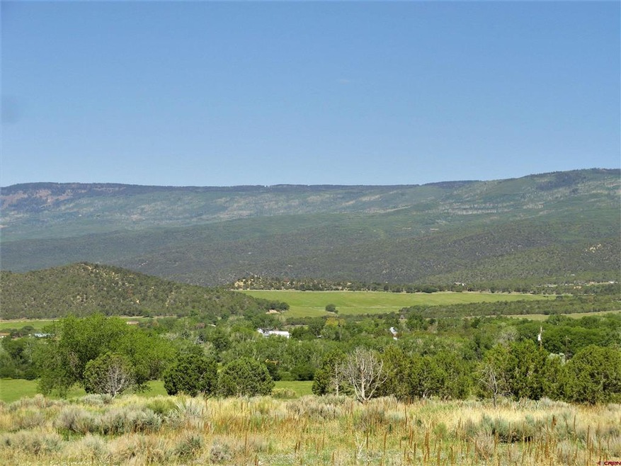 19682 2375 Rd, Cedaredge, CO 81413 - photo 1