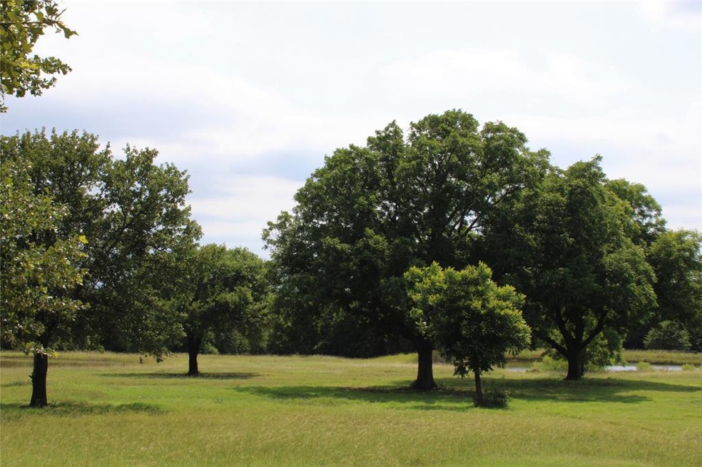 unlisted-address, Boyd, TX 76023 - photo 1