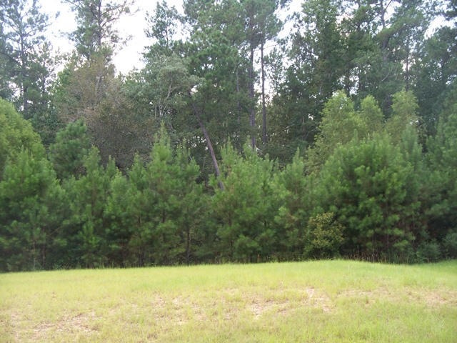 Sugar Creek Rd