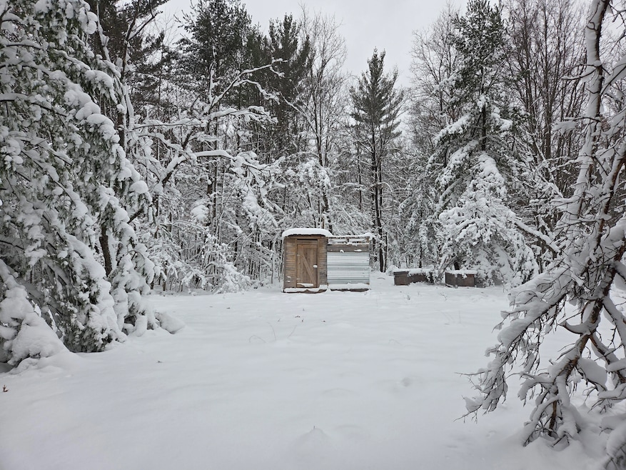 V/L Abermanis Trail, Luther, MI 49656 - photo 1