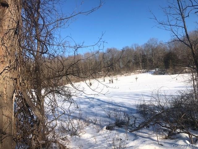 87 Stormville Rd, Hopewell, NY 12533 - photo 1