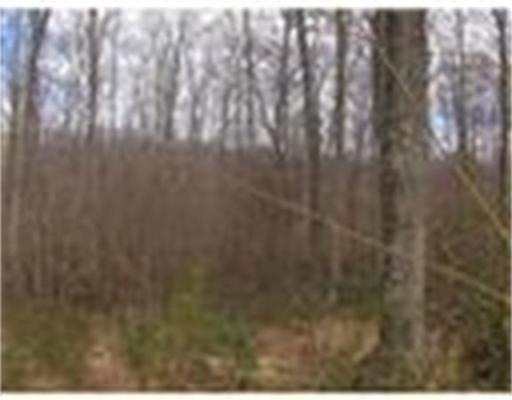 0 Stafford St, Charlton, MA 01507 - photo 1