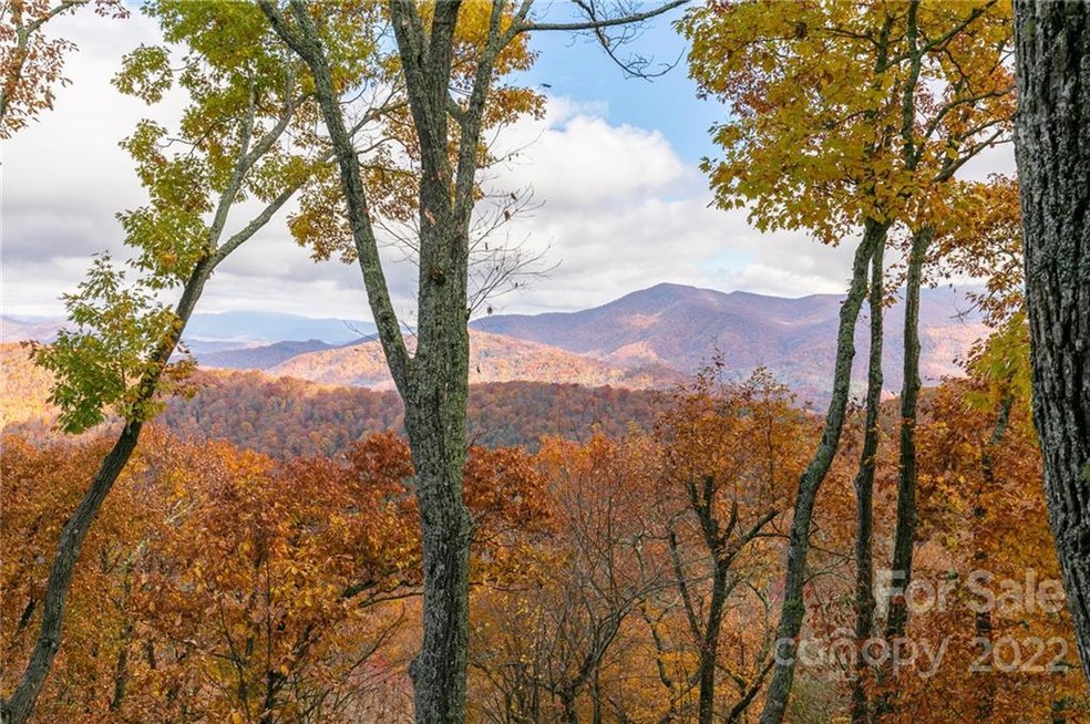 115 Stoney Falls Loop unit D-4, Burnsville, NC 28714 - photo 1