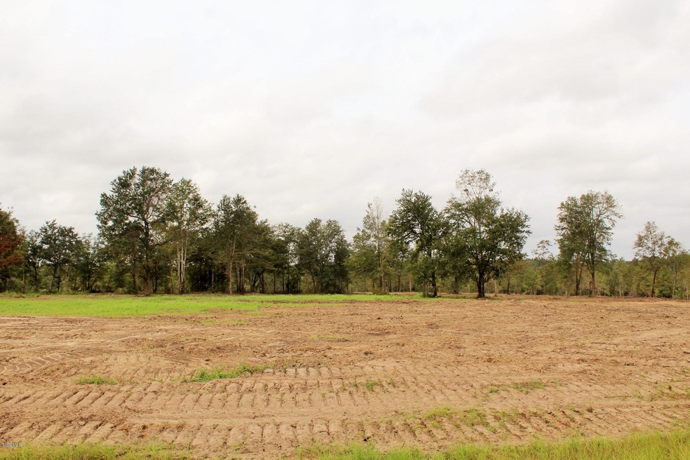 11.35ac Buddy Finch Rd, Lucedale, MS 39452 - photo 1