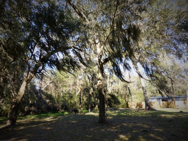 15 Oneal Dr NE, Townsend, GA 31331 - photo 1