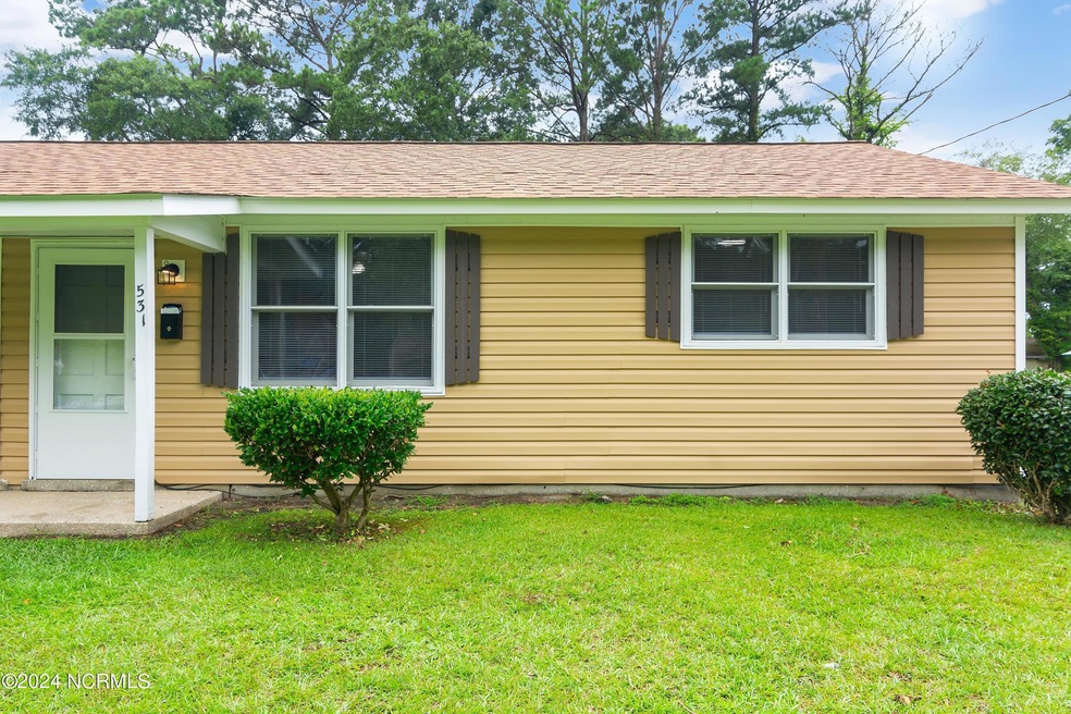 531 Williams St, Jacksonville, NC 28540 - photo 1
