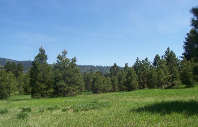 191 Clear Creek Rd unit 7,9, 11, Cascade, ID 83611 - photo 1