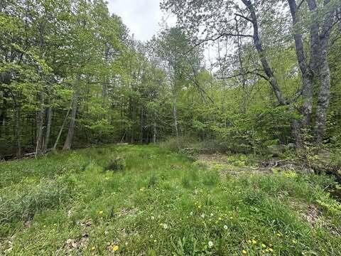 Lot 19, Thomas Pond