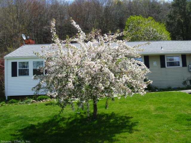 Exterior Front. Beautiful flowering trees througho