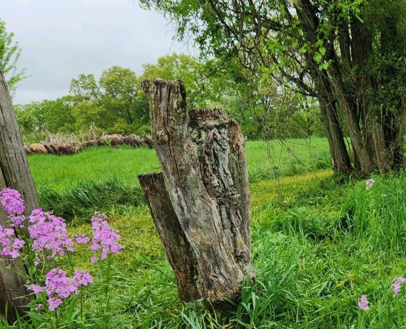 5 Ridge Rd, Centerville, PA 15330 - photo 1